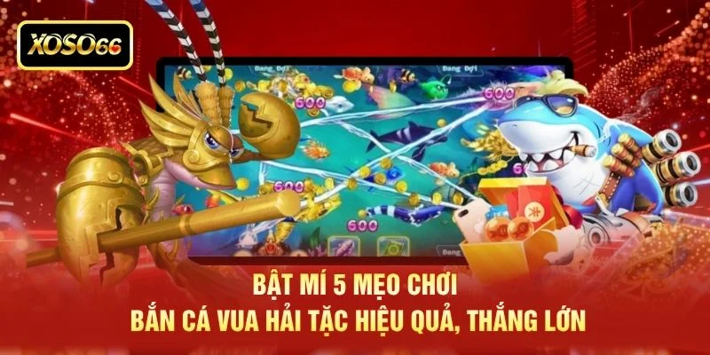 Bật mí 5 mẹo chơi bắn cá vua hải tặc hiệu quả, thắng lớn Bật mí 5 mẹo chơi bắn cá vua hải tặc hiệu quả, thắng lớn