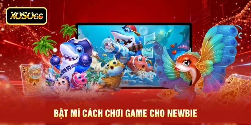 Bật mí cách chơi game cho newbie Bật mí cách chơi game cho newbie