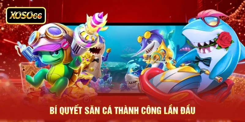 Bí quyết săn cá thành công lần đầu Bí quyết săn cá thành công lần đầu