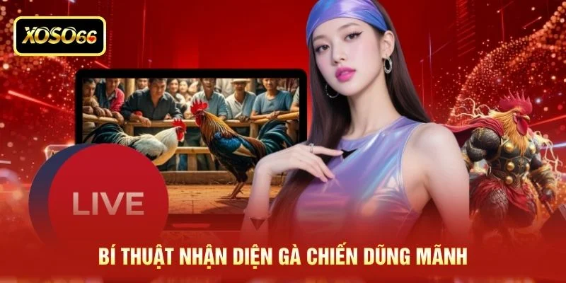 Bí thuật nhận diện gà chiến dũng mãnh