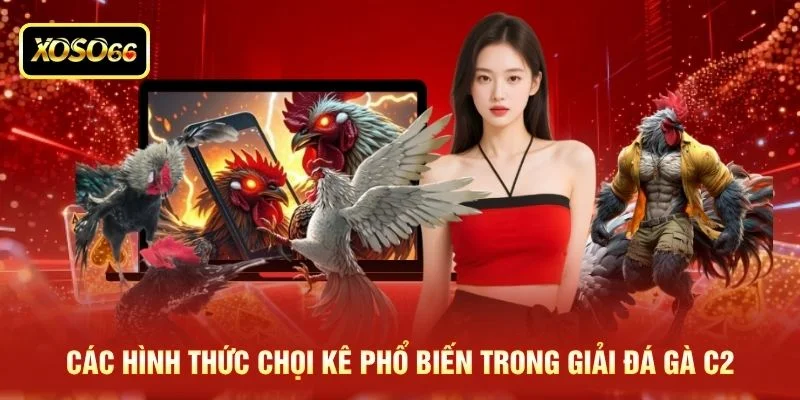 Các hình thức chọi kê phổ biến trong giải đá gà C2