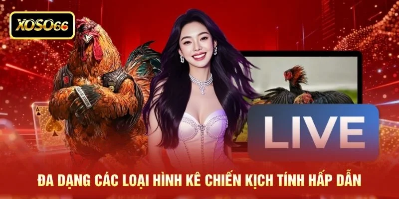 Đa dạng các loại hình kê chiến kịch tính hấp dẫn