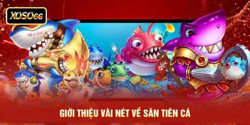 Giới thiệu vài nét về săn tiên cá Giới thiệu vài nét về săn tiên cá