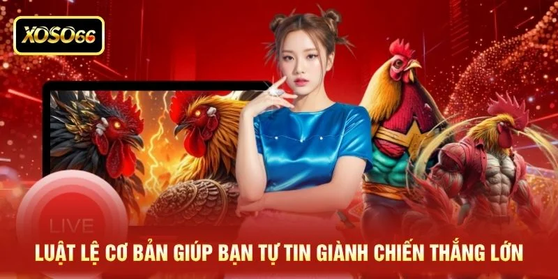 Luật lệ cơ bản giúp bạn tự tin giành chiến thắng lớn