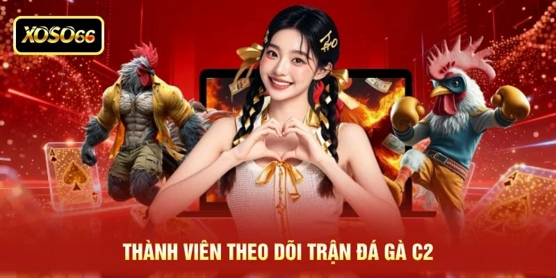 Thành viên theo dõi trận đá gà C2