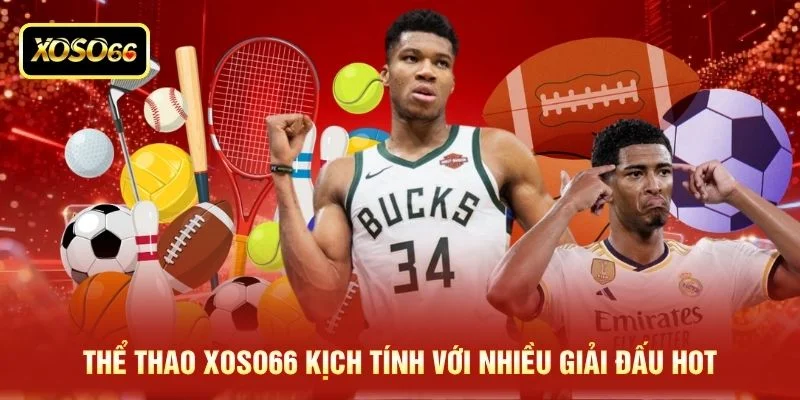 Thể thao XOSO66 kịch tính với nhiều giải đấu hot