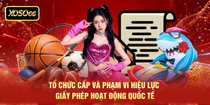 Tổ chức cấp và phạm vi hiệu lực giấy phép hoạt động quốc tế